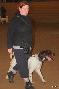 hunde_trning_2010-2011_9.jpg
