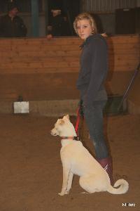 hunde_trning_2010-2011_11.jpg
