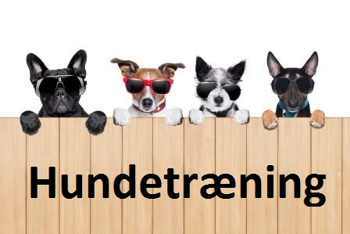 hundetraening-2015_1.jpg